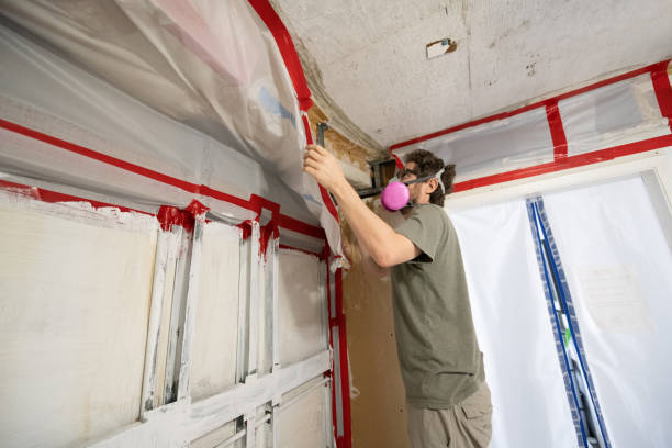 Best Residential Mold Inspection & Testing  in Blackwood, NJ