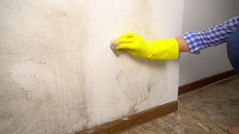 Best Mold Remediation for Healthcare Facilities  in Blackwood, NJ